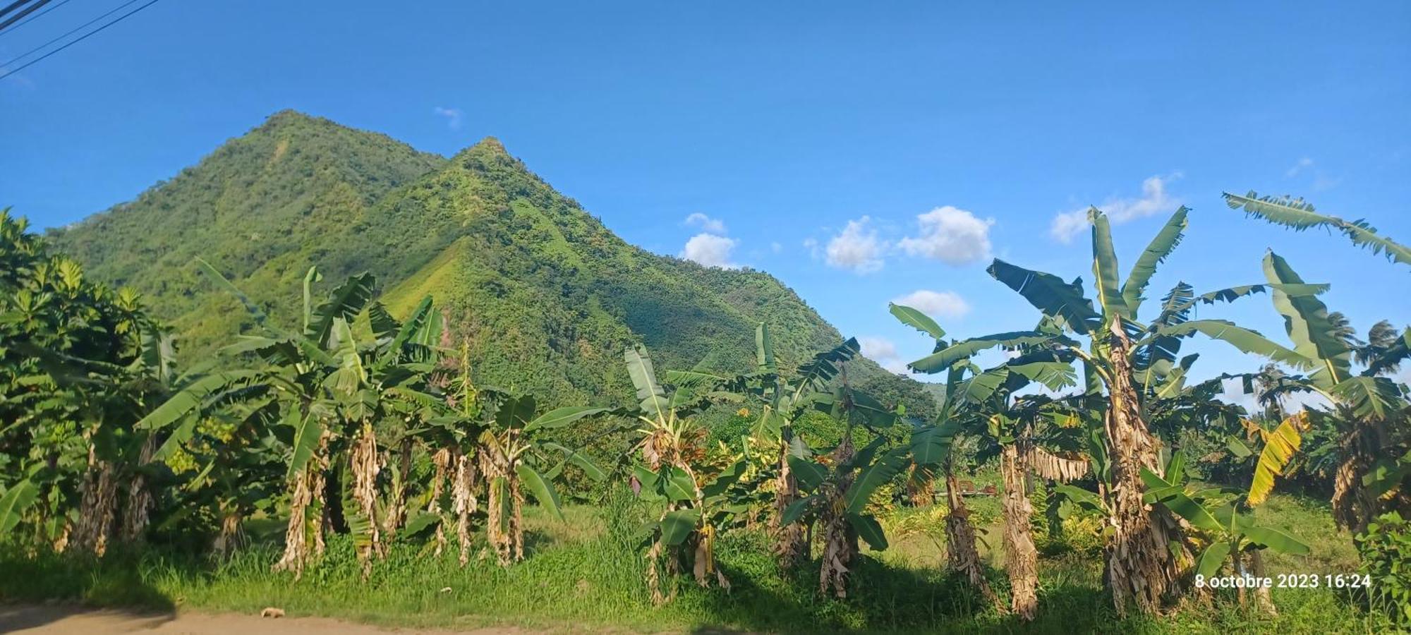 Hava'E Lodge Teahupoo Buitenkant foto